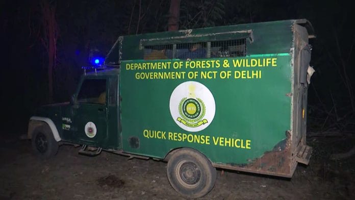 The Department of Forests and Wildlife team conducts patrolling around the Sainik Farm area where a Leopard has been spotted, in New Delhi on Saturday | ANI