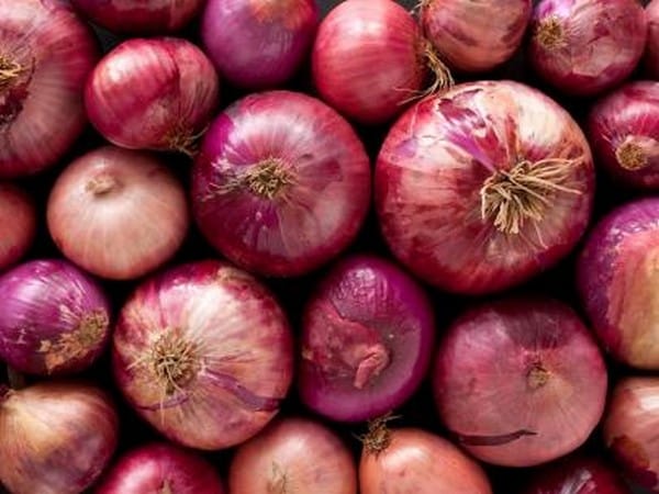 India prohibits onion exports till March 2024