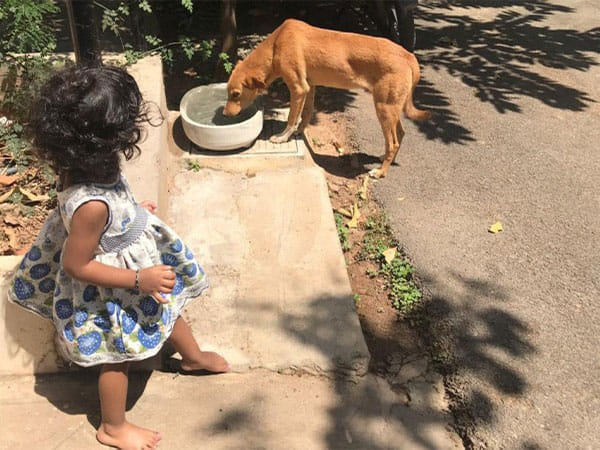 Two Decades of Impact: Zone Adds' Advertising Mastery and Social Commitment