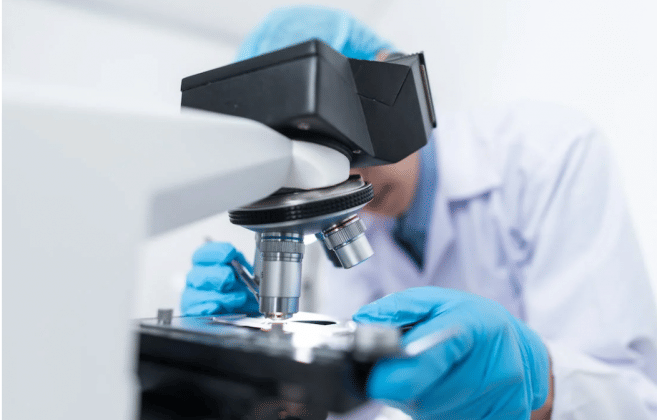 Scientists reveal a detailed cell map of the mammalian brain – ThePrint ...