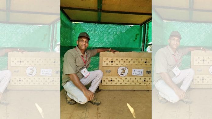 Kuno’s Chief Conservator of Forests Uttam Sharma | By special arrangement