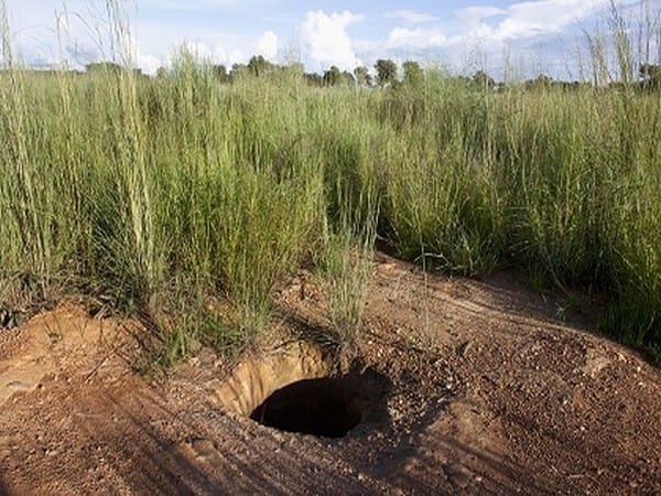 More than 70 die in artisanal gold mine collapse in Mali