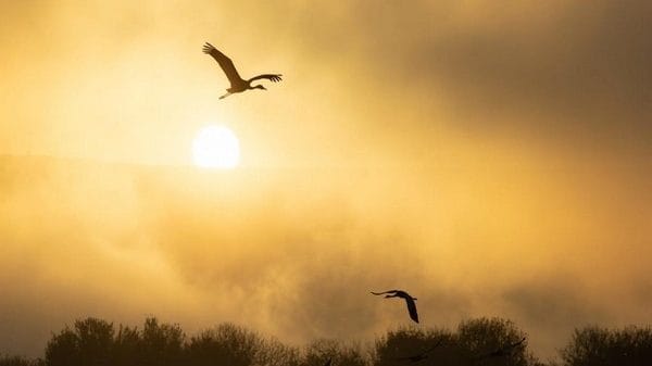 Representative Image | ANI