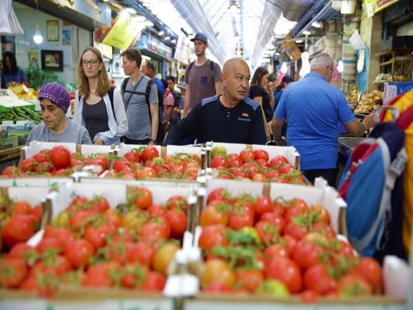 Tomatoes of tomorrow: Israeli innovation cuts water usage without yield compromise