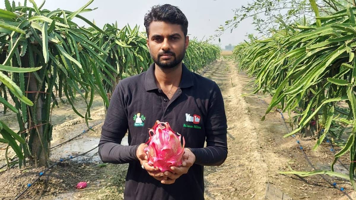 Haryana farmers to learn about dragon fruit cultivation in Vietnam,  subsidised trips on the cards