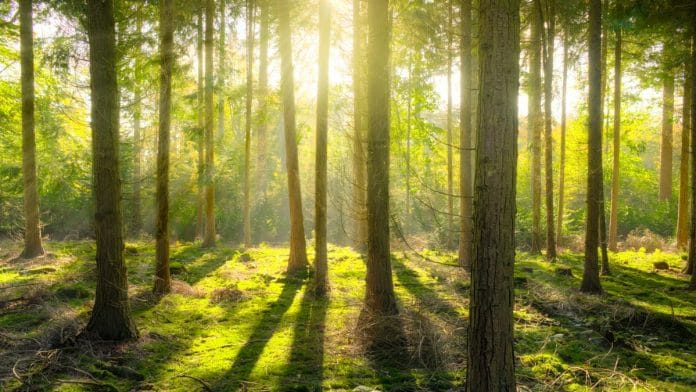 Representational image | Photo: Pexels