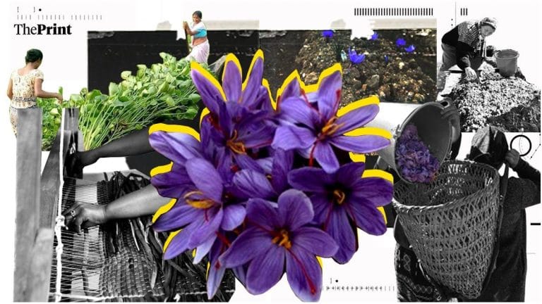 Modi’s yoga mat to Nagaland honey, NECTAR is taking Northeast to Japan, Netherlands