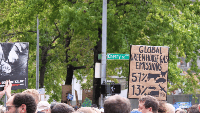 Representational photo of protest to cut down carbon emissions | Commons