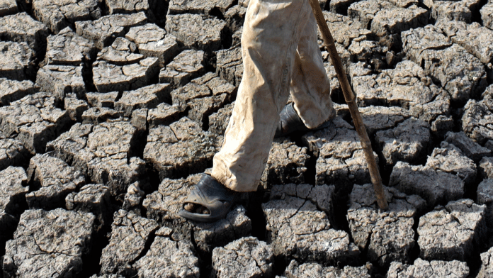 Representational image | ANI