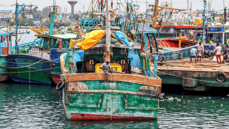 India elected vice-chair of UN fisheries body amid countries calling out China’s illegal fishing