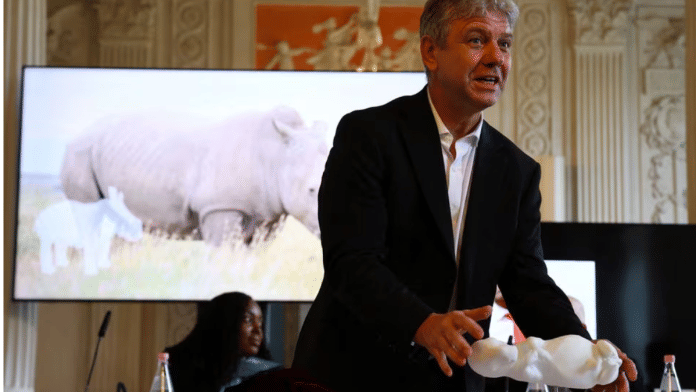 Thomas Hildebrandt, Head of Department of Reproduction Management at the Leibniz Institute for Zoo and Wildlife Research, presents a 3D model of a 70-days-old southern white rhinoceros foetus | Reuters