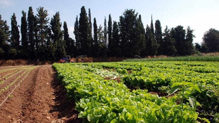 Representational image | Flickr