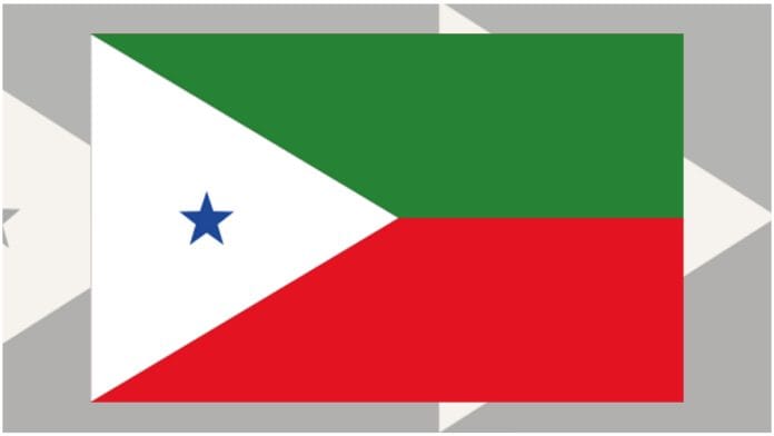 PFI Flag | Illustration: Soham Sen/ThePrint