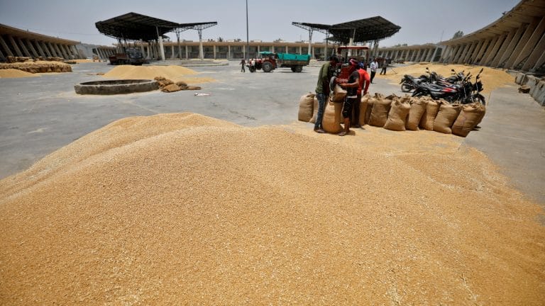 No plans to import wheat, farmers likely to harvest bumper crop, says trade minister Piyush Goyal