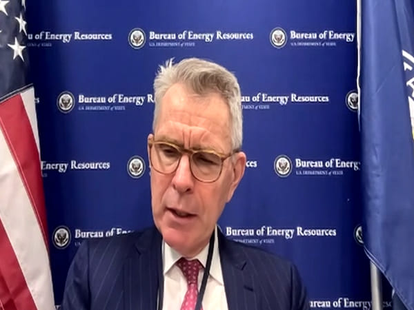 Indian Navy's action on Houthis illustrates its capacity as net security provider: US Assistant Secy of State for Energy resources