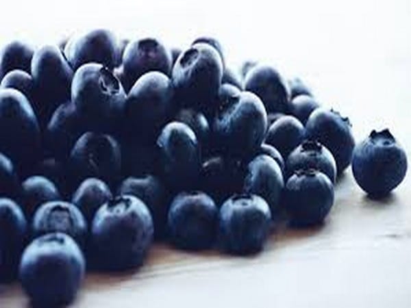 Researchers explain why blueberries are blue