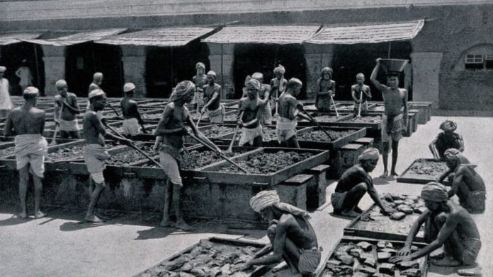Manufacture of Opium in Calcutta, 1900. Workers here are mixing and balling opium | Source: Wikimedia Commons