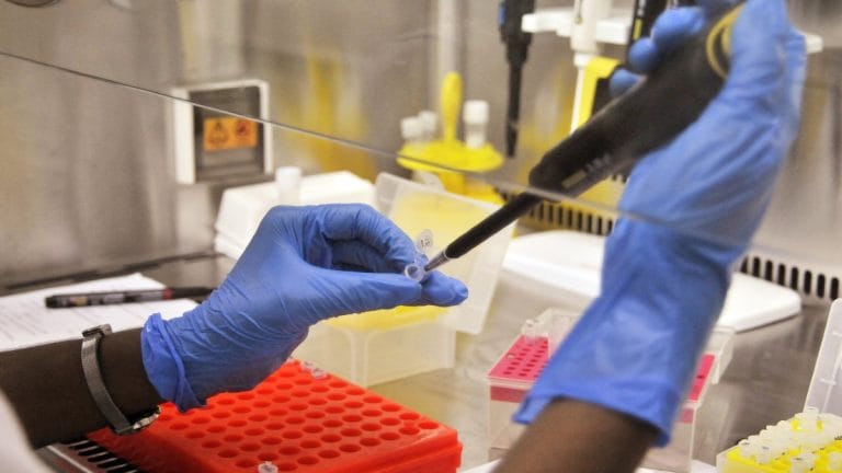 Lab-grown food to fabrics, what’s bio-manufacturing & how India’s BioE3 policy could give it a boost