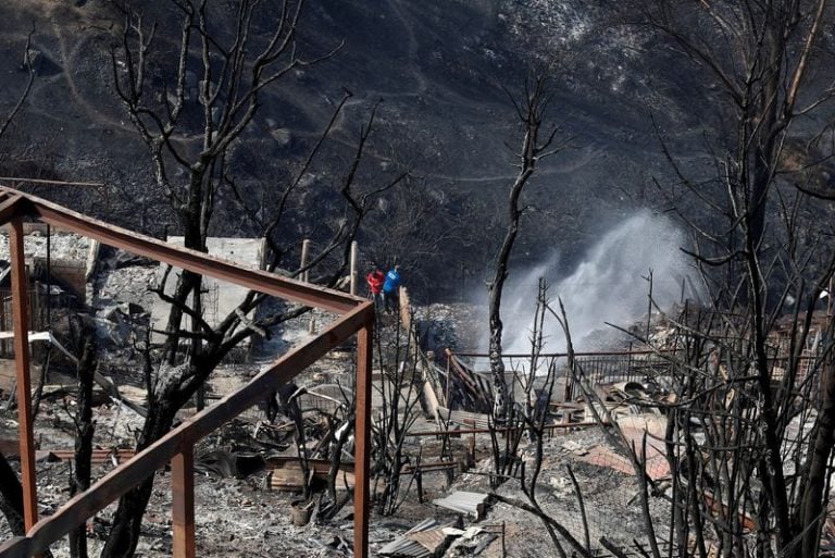 Disaster Cl How climate change made Chile's wildfires so deadly – ThePrint ...