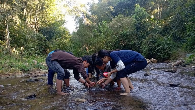 Scientists are studying insect eating in Arunachal. They want to put them on global plates