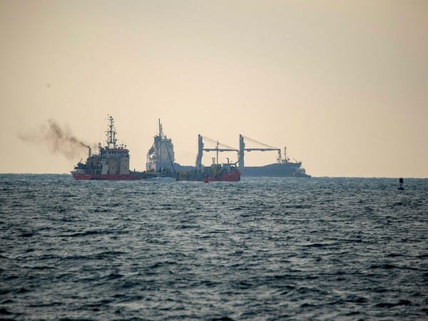 Decoding dolphins: Researchers uncover effects of ship noise on sea mammal communication