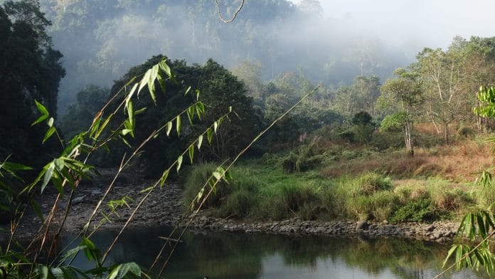 Assam wildlife sanctuary | Representational image | Commons