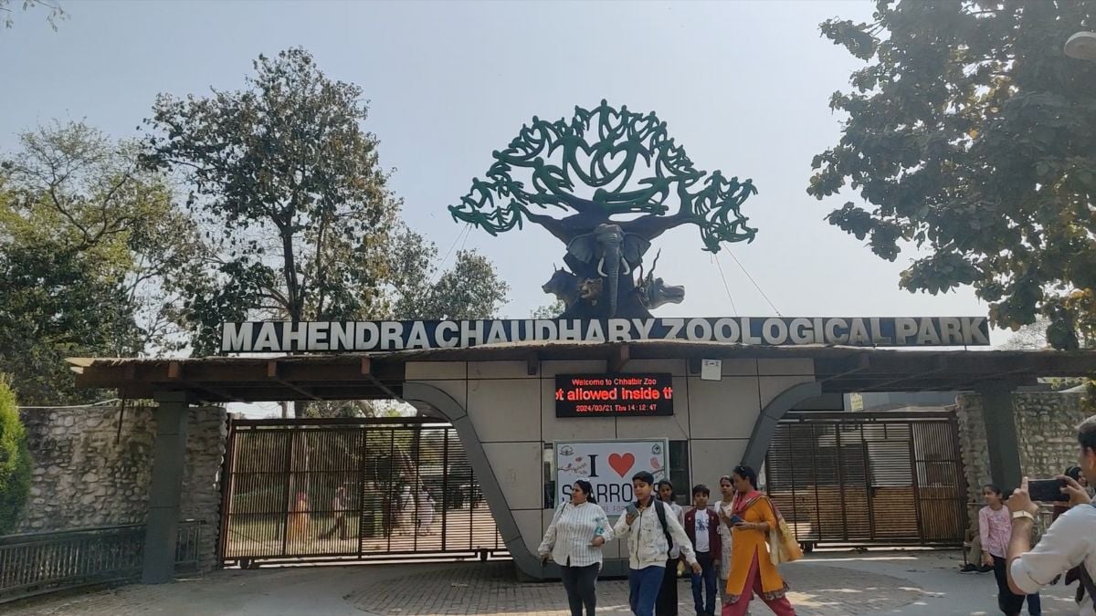 Indian zoos have a numbers problem. Too many animals, not enough vets ...