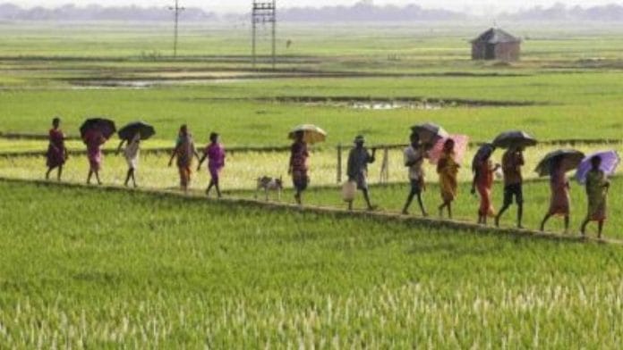 Representational image | Commons