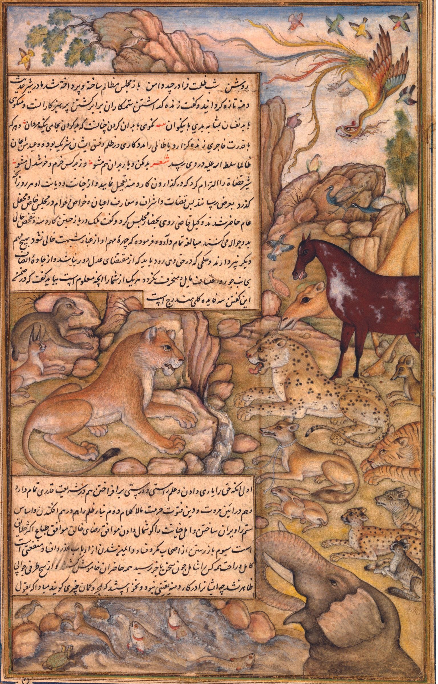 The Lion Presiding over Dimnah’s Trial, Agra ca. 1595An illustrated scene from the Anvar-i-Suhayli composed by Ustad Hussain Vai’z Kashifi. Among the animals present in the trial of the jackal Dimnah (accused of spreading misinformation) in the lion’s kingdom is a Caracal. Credit: The Chester Beatty, IN O.4.4