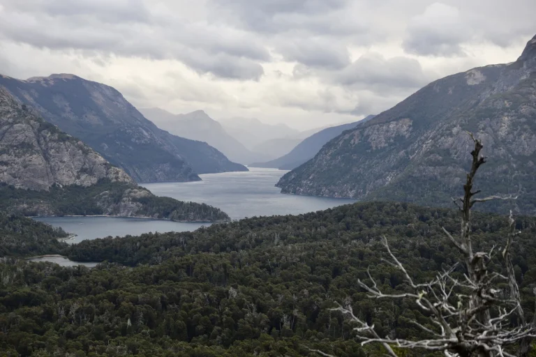 Environmental issues cause 13 million deaths yearly—Nature action is still trapped in a silo