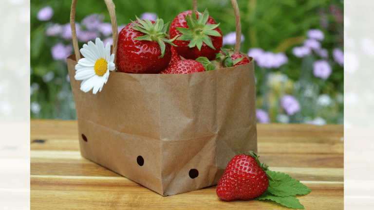 SubscriberWrites: Hunger for Sustainability