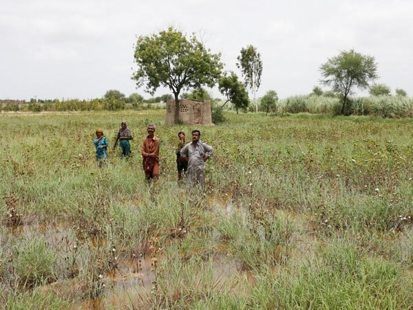Pakistan farmers announce nationwide protests from May 10 amid wheat ...