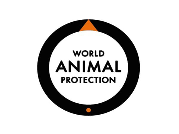 Alarming Levels of Antibiotic Resistance Found in the Poultry Environment