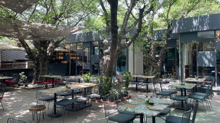 Embassies in Delhi flexing soft power, appealing to Indians’ taste buds—ratatouille to kimbap