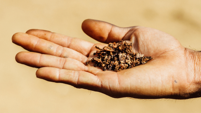 Representational image | Pic credit: Flickr/Adam Cohn