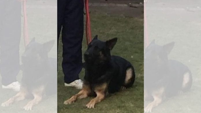 Hammad Azhar posted a picture of Sam on X pleading for his release. | X