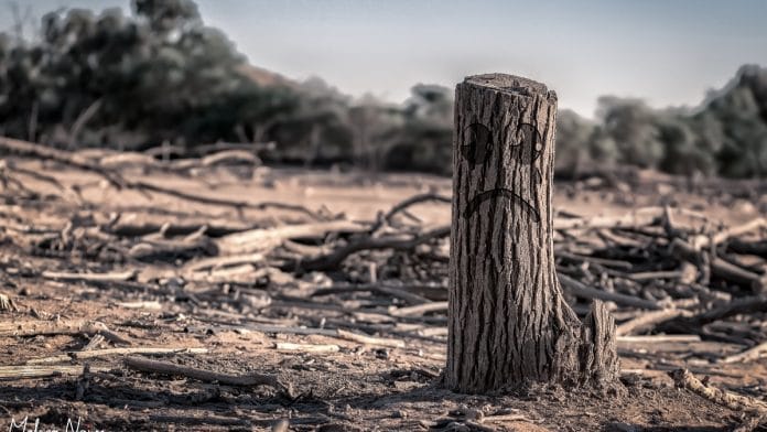 Representational image | Flickr