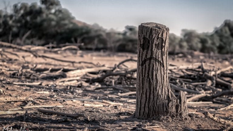 SubscriberWrites: Way to a Sustainable Bharat