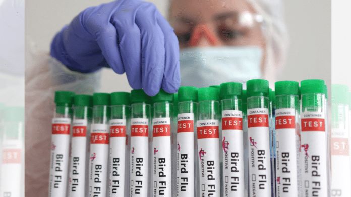 Representational image | Credit: Reuters