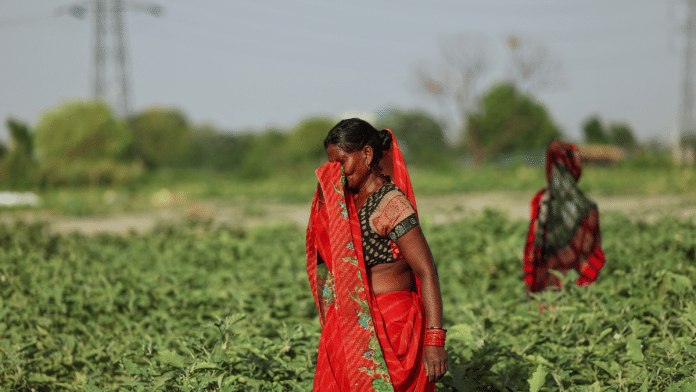 Khilona, 50, a farm labourer, wipes sweat off her face as she plucks vegetables on a field at the Yamuna floodplains on a hot summer day during a heatwave in New Delhi, India 30 May 2024 | Representational image | Reuters/Anushree Fadnavis