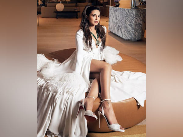 Nick Jonas gushes over wife Priyanka Chopra's pic, drops adorable reaction