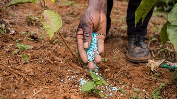 Fertiliser maker Paradeep Phosphates launches nano urea and DAP products