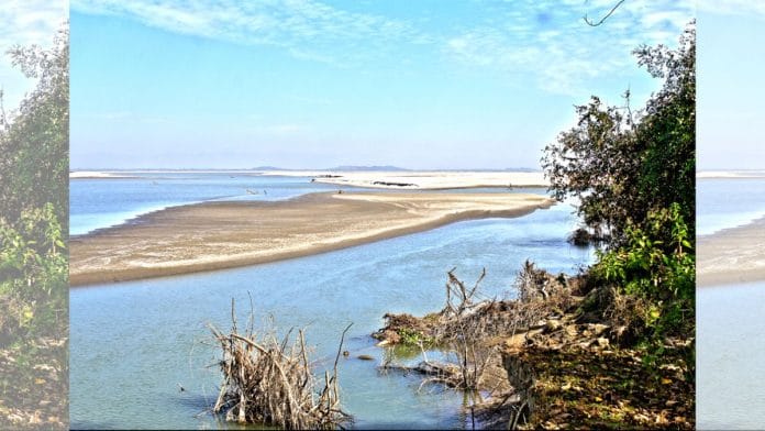 File photo: Brahmaputra flowing through the Laokhowa-Burhachapori wildlife sanctuary in Nagaon district in Assam | Assam State Portal
