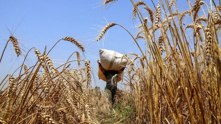 Marginal farmers consistently lost over 50% crops in past 5 yrs due to extreme climate conditions