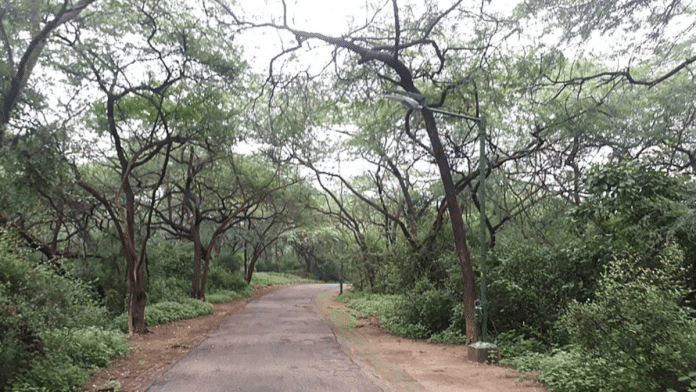 Representational image of Malcha forests in Delhi | Credit: Commons