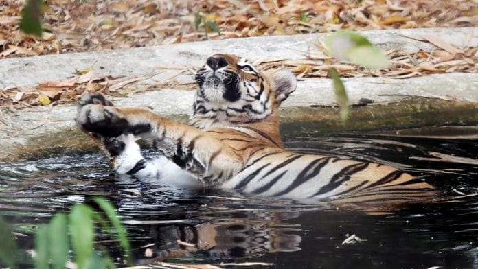 Representative image | Photo: ANI