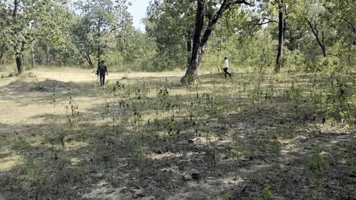 Representational image of security personnel conducting search operation near at Bijapur-Sukma border in Sukma in 2024 | ANI