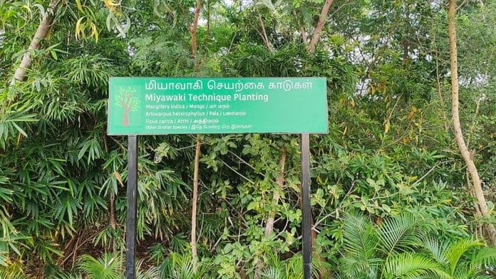 A Miyawaki style plantation in South India | Representational Image | Commons