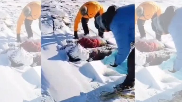 Everyone should learn wilderness first aid. It’s more than just dressing wounds