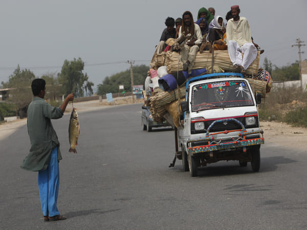 Pakistan's population projected to reach 400 million by 2092: UN Report